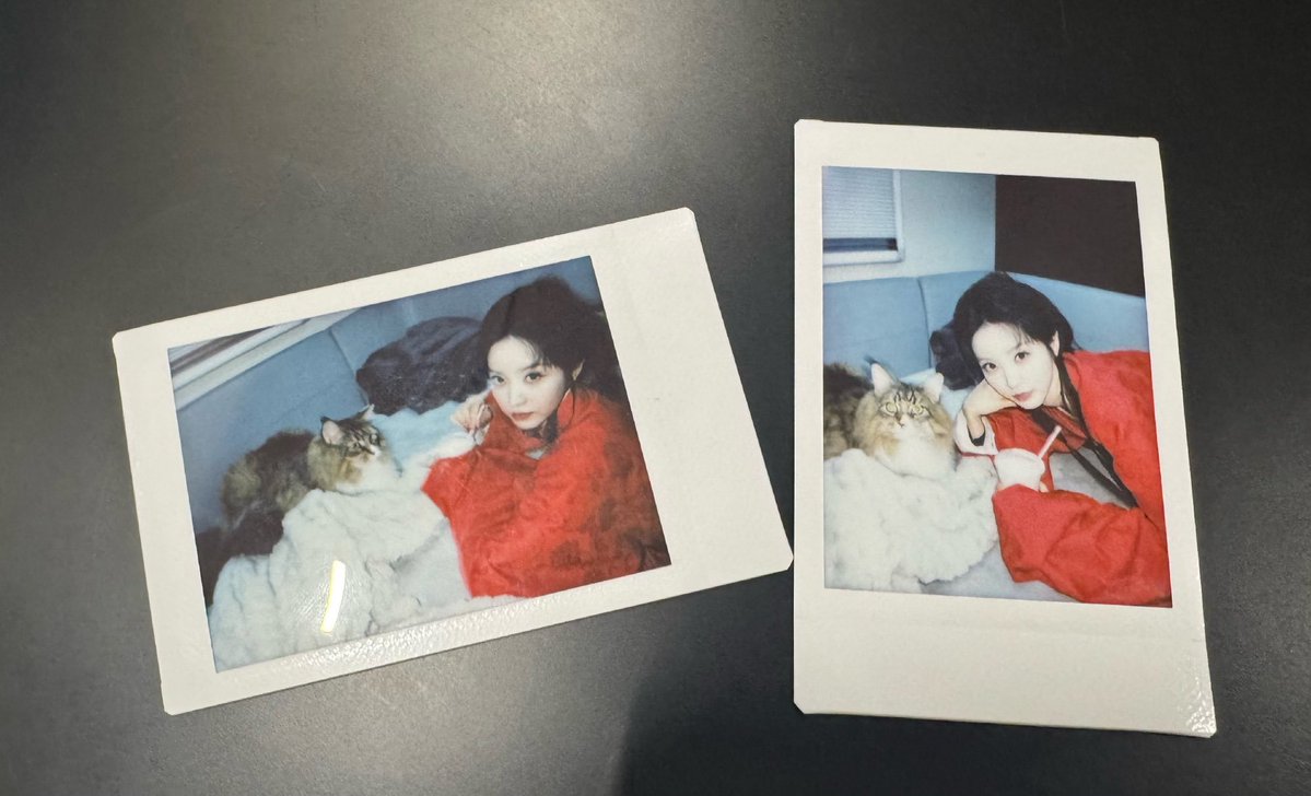 Bloom with 曦薇 tweet media