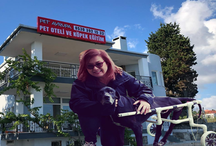 serbestiyetweb's tweet photo. "Villamın değerini düşürüyorsunuz, belediyede tanıdıklarım var” deyip yan arazideki köpek otelini şikâyet etti

Beylikdüzü Belediyesi kulübelere imar istedi: 30 kurtarılmış köpek tekrar sokağa dönebilir

https://t.co/WvC4A4yWEZ

🔺55 köpek, 45 kedinin kaldığı tesisteki hayvanların yaklaşık dörtte üçü, yardımsever insanların sokaktan kurtarıp bakımını üstlendiği kedi ve köpeklerden oluşuyor. 

Tesisin işletmecisi Adviye Ayşen Öven:

💬En son Beylikdüzü Belediyesi encümeni oteldeki köpeklerin kaldığı kulübeler için yıkım kararı verdi. Mahkeme’ye başvurduk, yürütmeyi durdurma kararı verildi.

Kulübelerde kurtarılmış 30 köpek kalıyor. Kulübeler yıkılırsa bu köpekler nerede kalacak?”

@beryaroglu