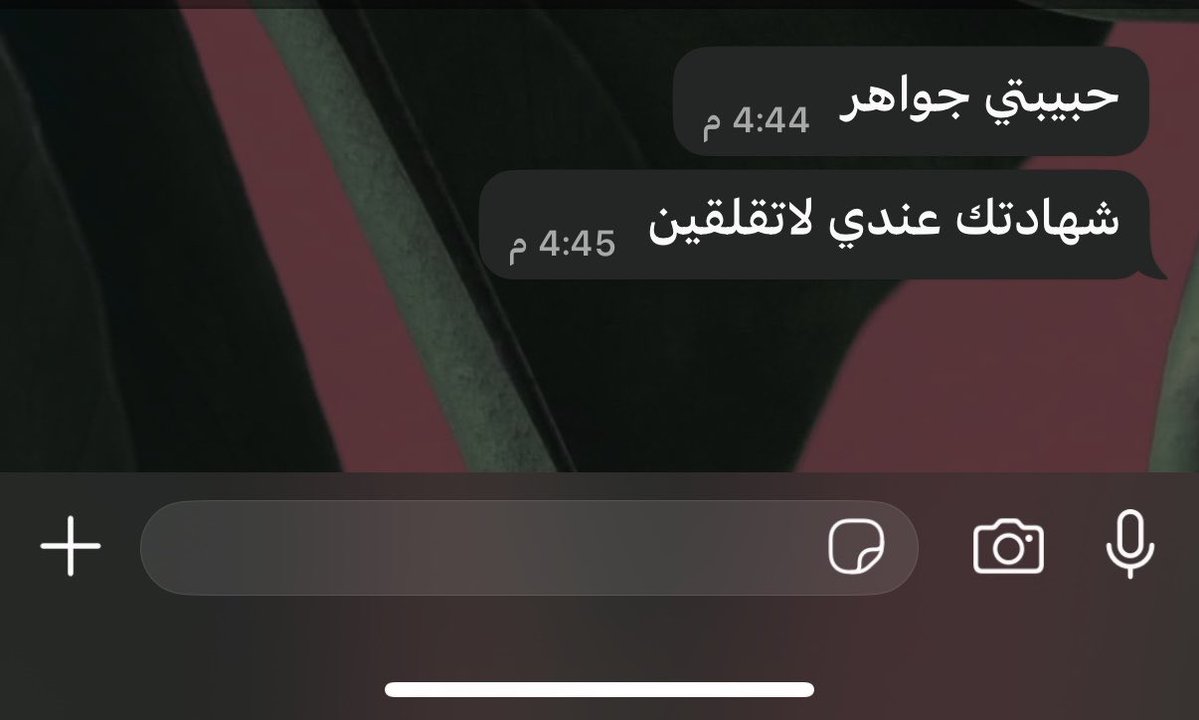 جُ🕊️ tweet media