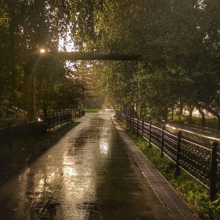 🧷; koko⁷ tweet media