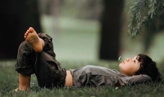 وليد آل حيدر tweet media