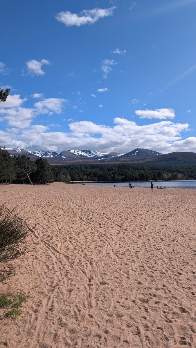 Moya 🏴󠁧󠁢󠁳󠁣󠁴󠁿 tweet media