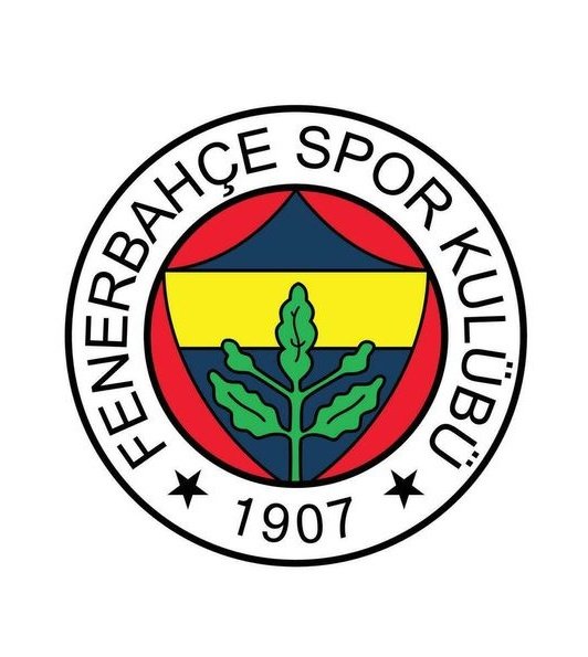 FF TV tweet media