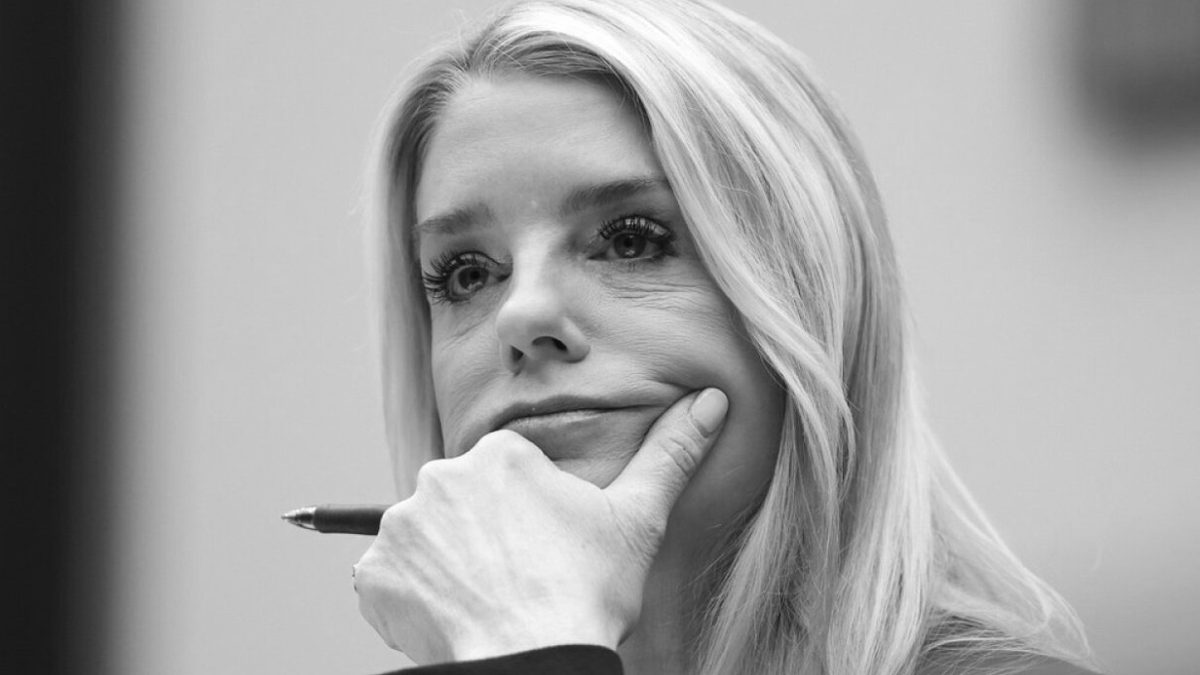 The Conservative Alternative tweet media