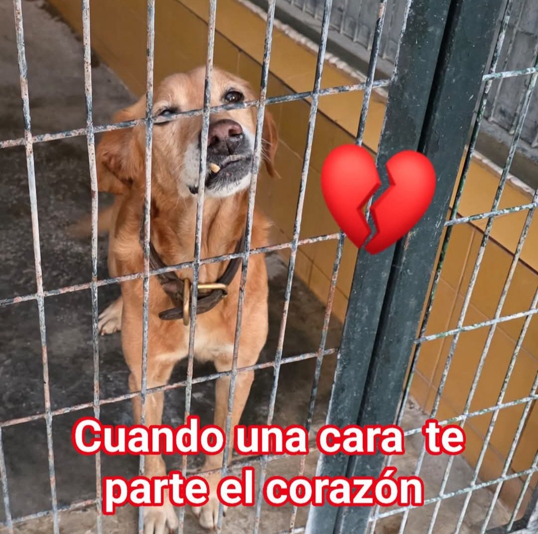 Lola tweet media