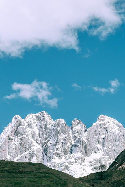 Mark Martin tweet media