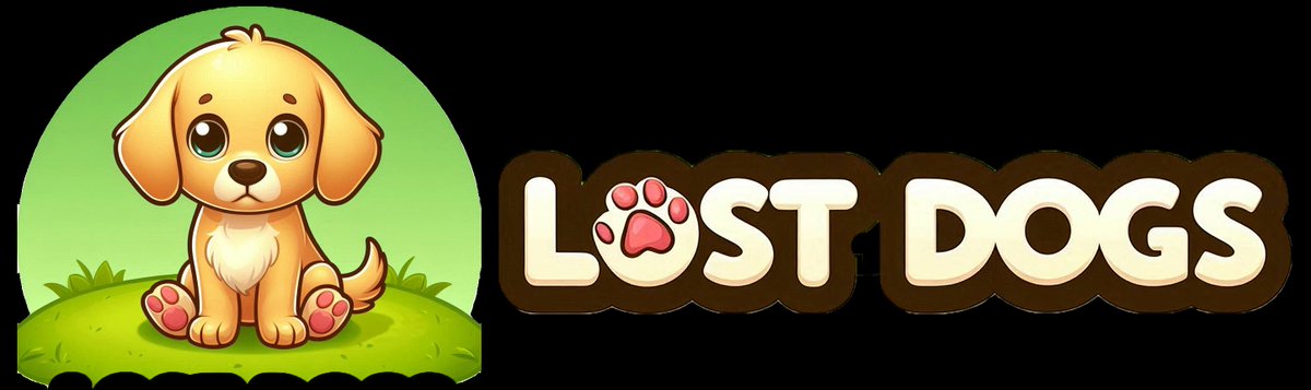 LostDogsSA's tweet photo. 🐶 Lost in Plettenberg Bay!  
A very scared female white Jack Russell Terrier went missing on April 28.  
If you see her, please contact us or share to help her find safety ❤️
Link: https://t.co/d9CxWLnYon https://t.co/1S84HVNWGy