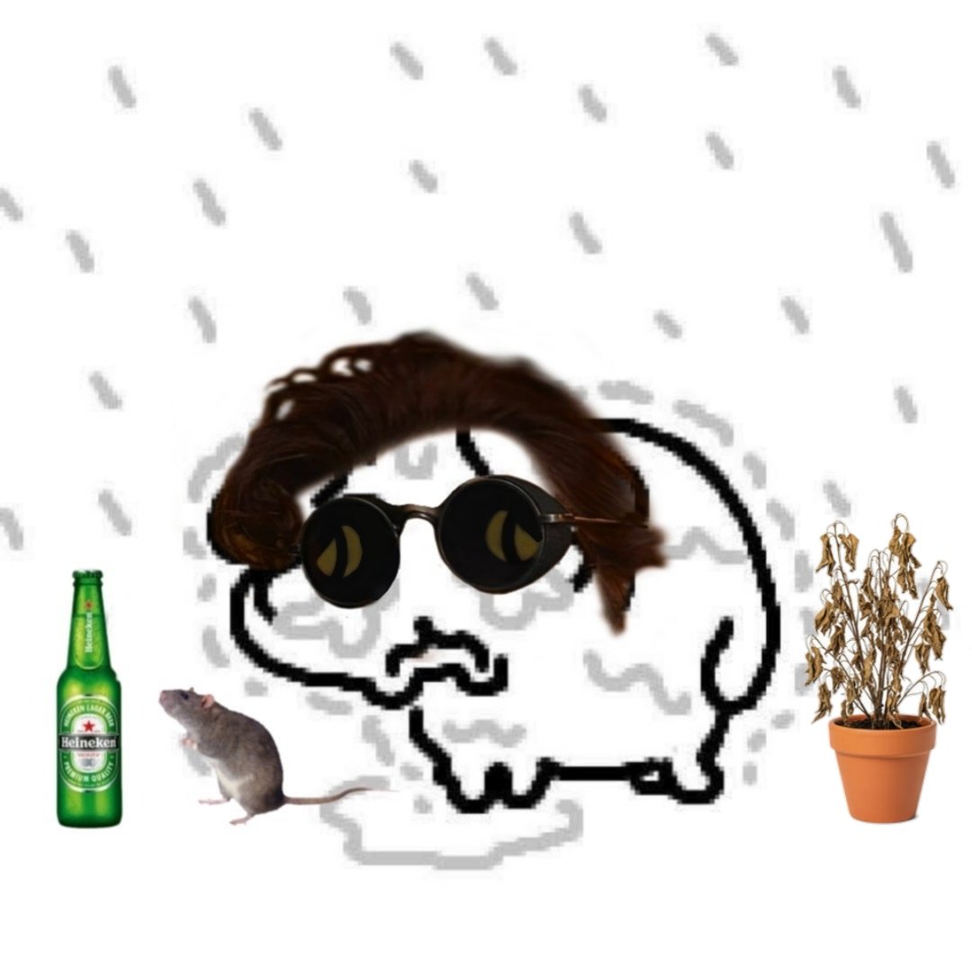 ro 🩷🪽 tweet media