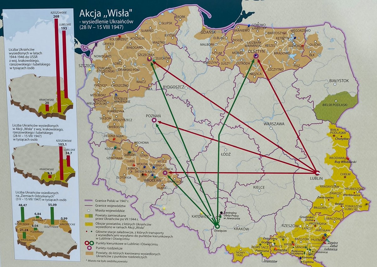 Andrzej Szeptycki tweet media