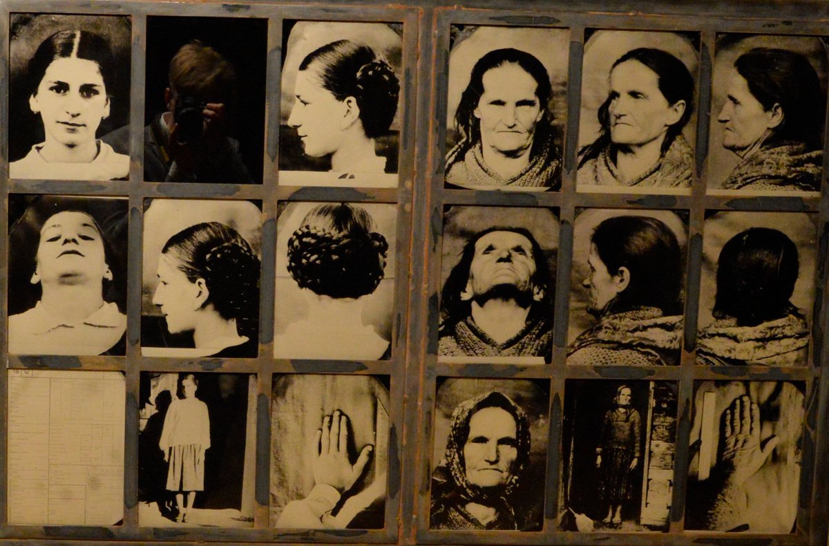 Andrzej Szeptycki tweet media