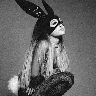 celestia ꕤ tweet media