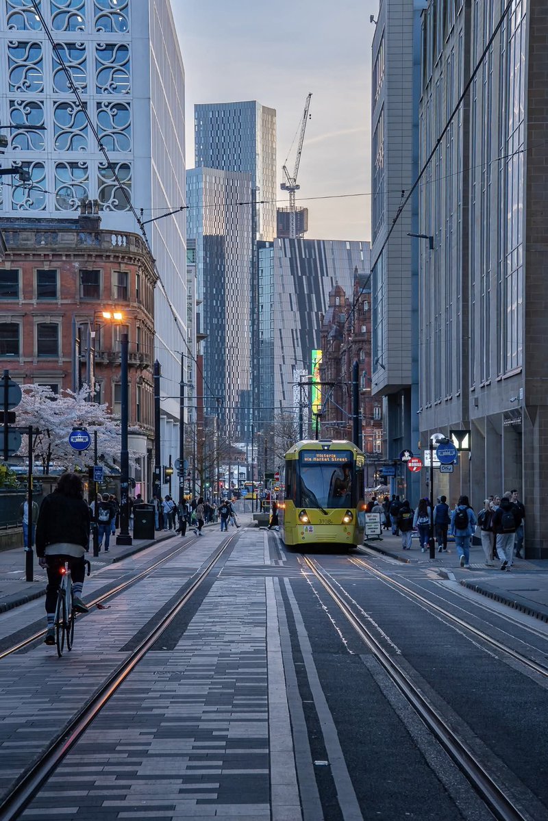 WanderLens tweet media