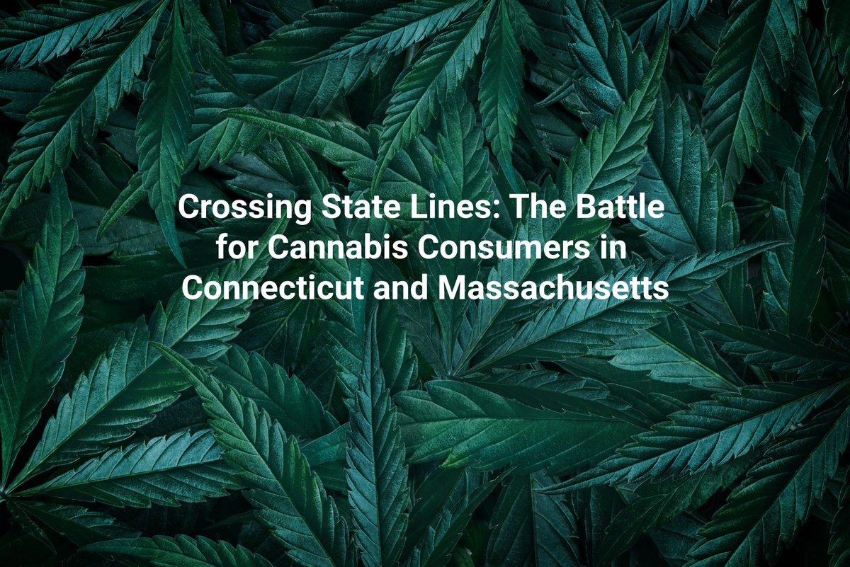MaxQTech's tweet image. Connecticut vs. Massachusetts: A #ComparativeAnalysis of Two #CompetingCannabis Markets - ow.ly/gGup50YP8K5