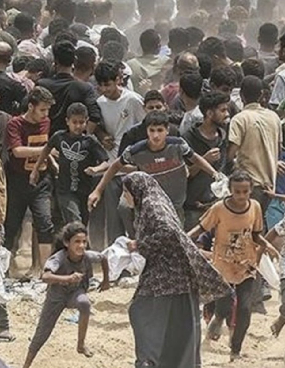 VictoriaXCV's tweet photo. @SamJundi Your post is a sick disgrace. This is what food distribution looks like when Israel is in charge. No fun little cartoons will make us forget. https://t.co/0grUqwnJtM
