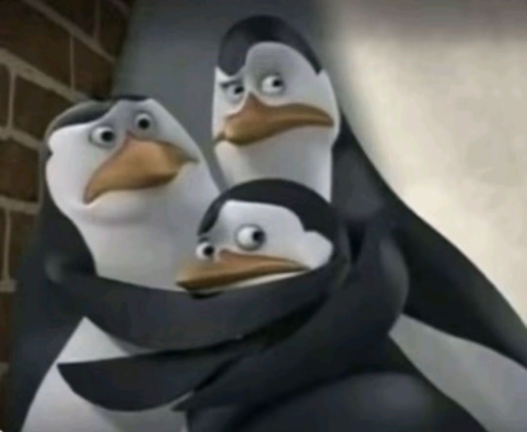 roundie koo⁷ 🌟 tweet media