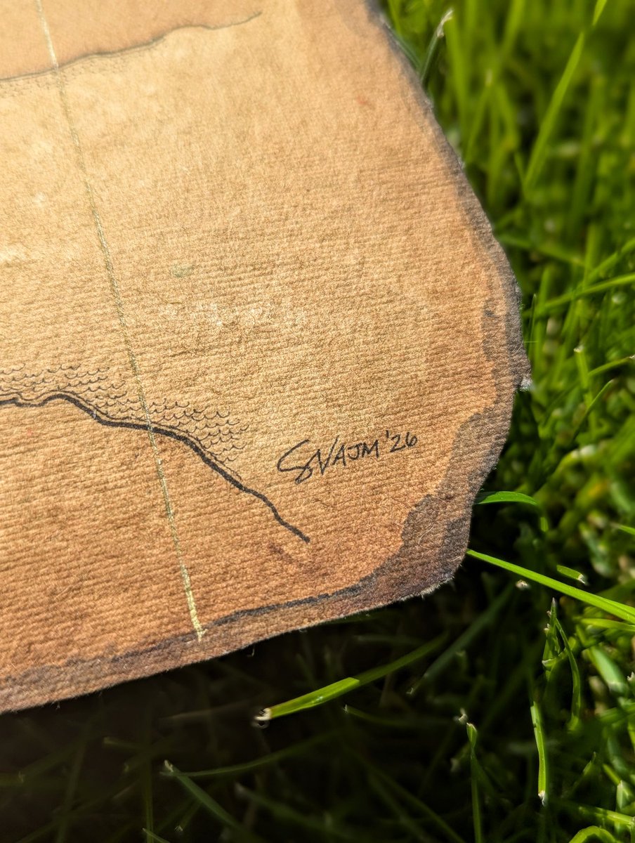 Salwa Najm tweet media