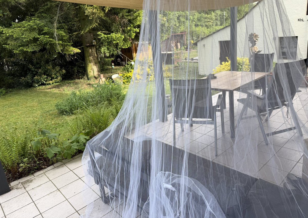 Master 🐿️ tweet media