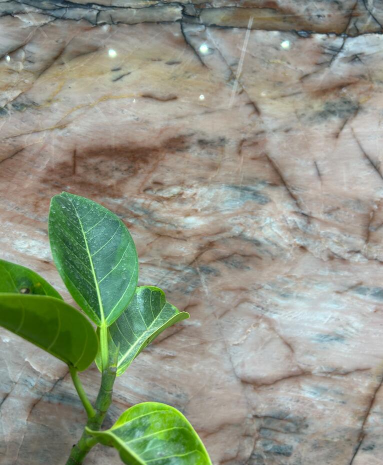 richard1989118's tweet image. From soft neutrals to bold veining, these colours work beautifully across both classic and modern spaces. #quartzite #marble #granite #travertine #BuildingContractor #multi-family #hospitality #CommercialOffice #LargeConstructionProjects