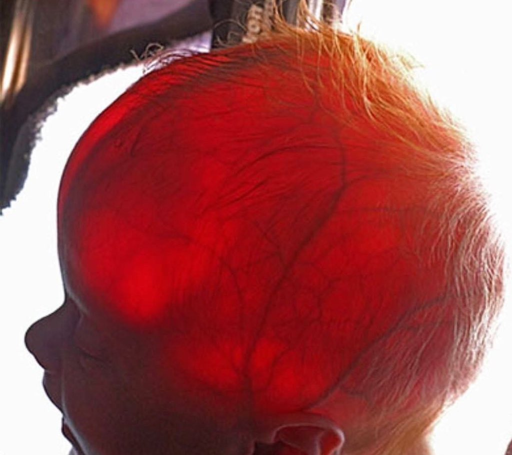 All day Astronomy tweet media