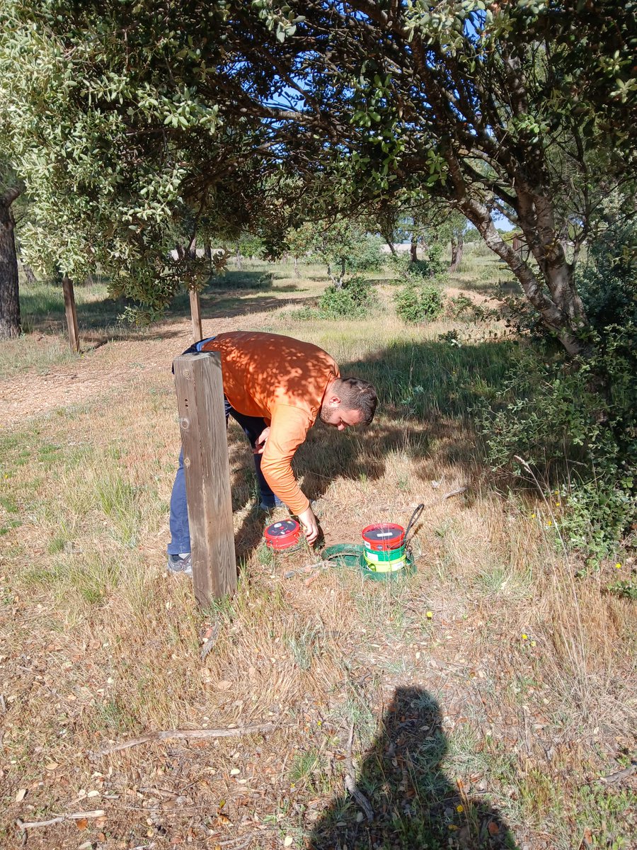 Naturaleza Castilla y León tweet media