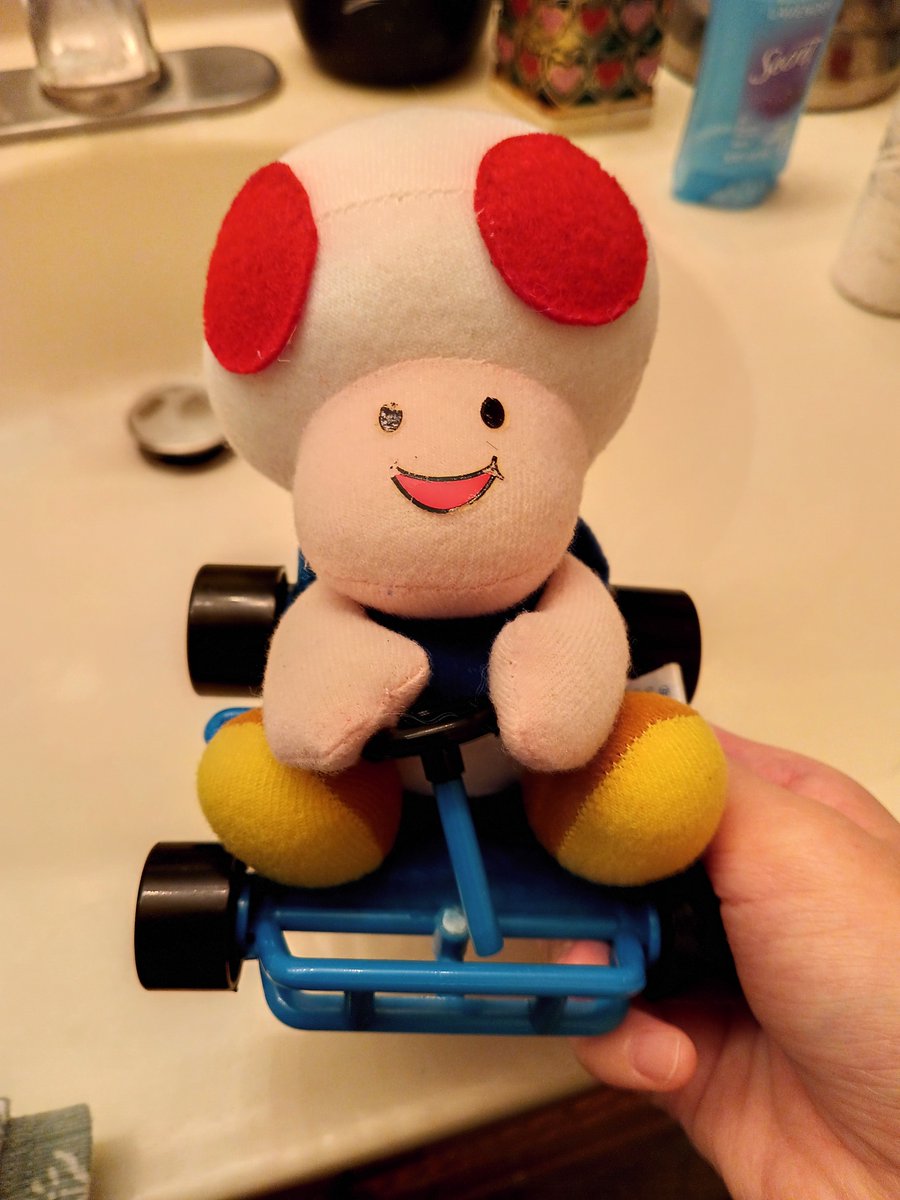 BrunAmitie's tweet photo. gave one of my toad plushies a lil bath to start my morning! ✨ https://t.co/3xDaYoj8i0