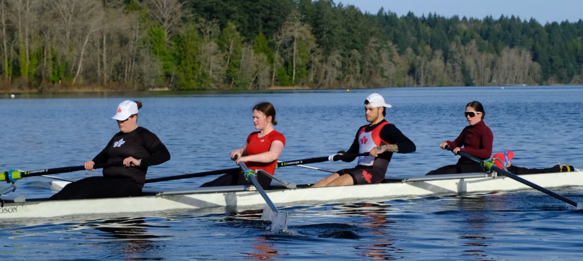 Rowing Canada Aviron tweet media
