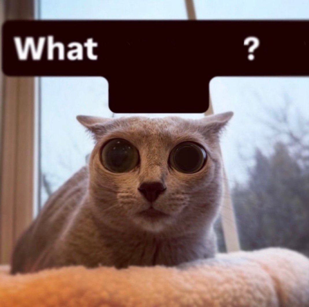 josh ✩ tweet media