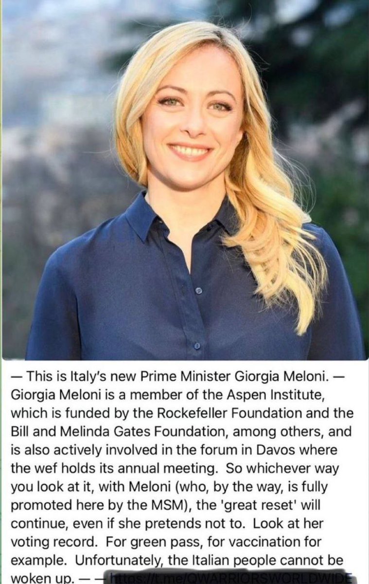 World Wide Beaver tweet media