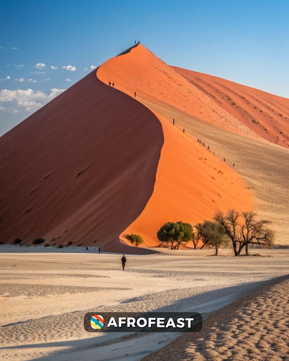 afrofeast™ tweet media