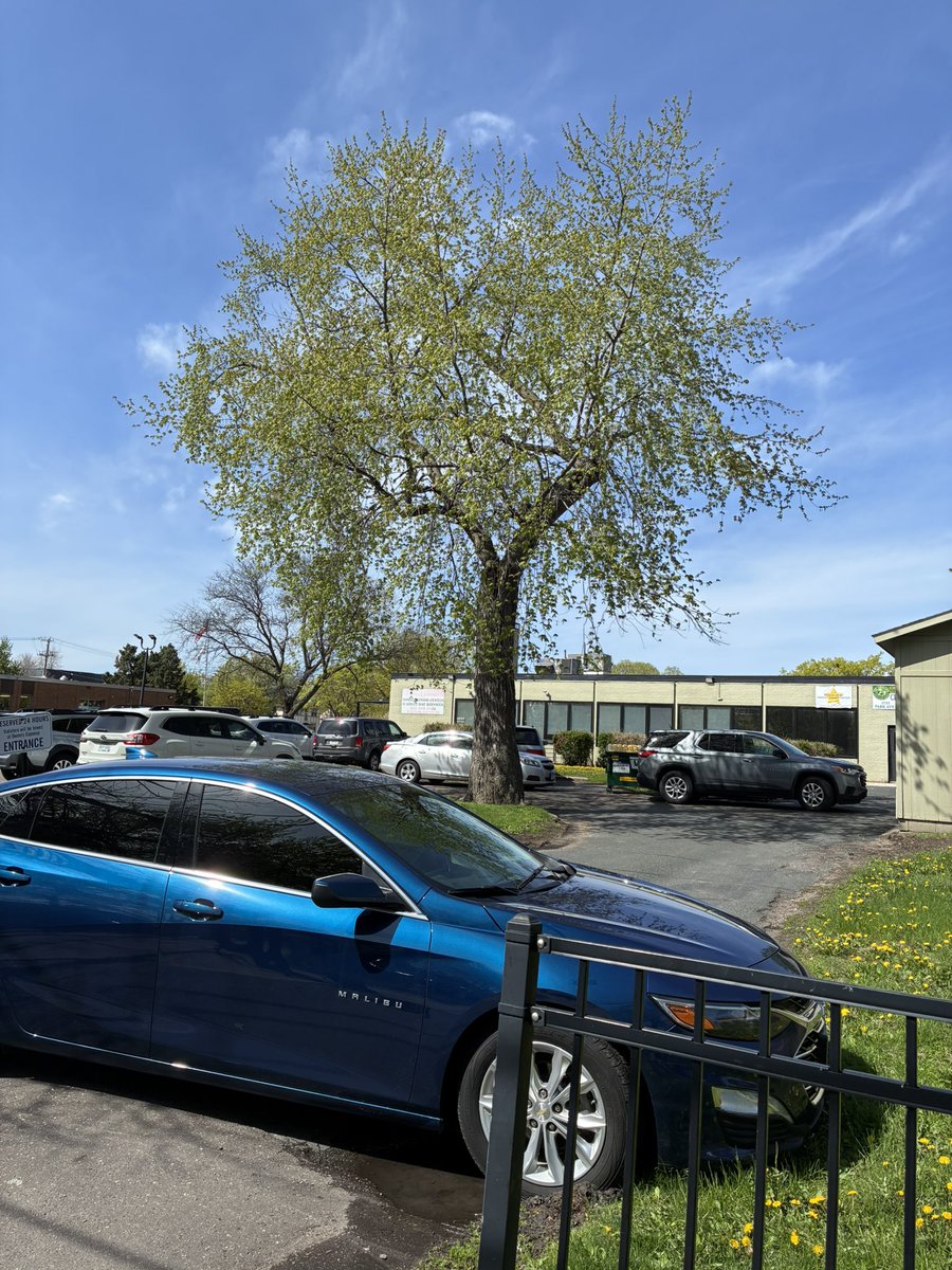 ryanraiche's tweet photo. Feds have been at this daycare center for more than four hours. Part sweeping fraud raids going on around Twin Cities. https://t.co/M3rNjKgZW6