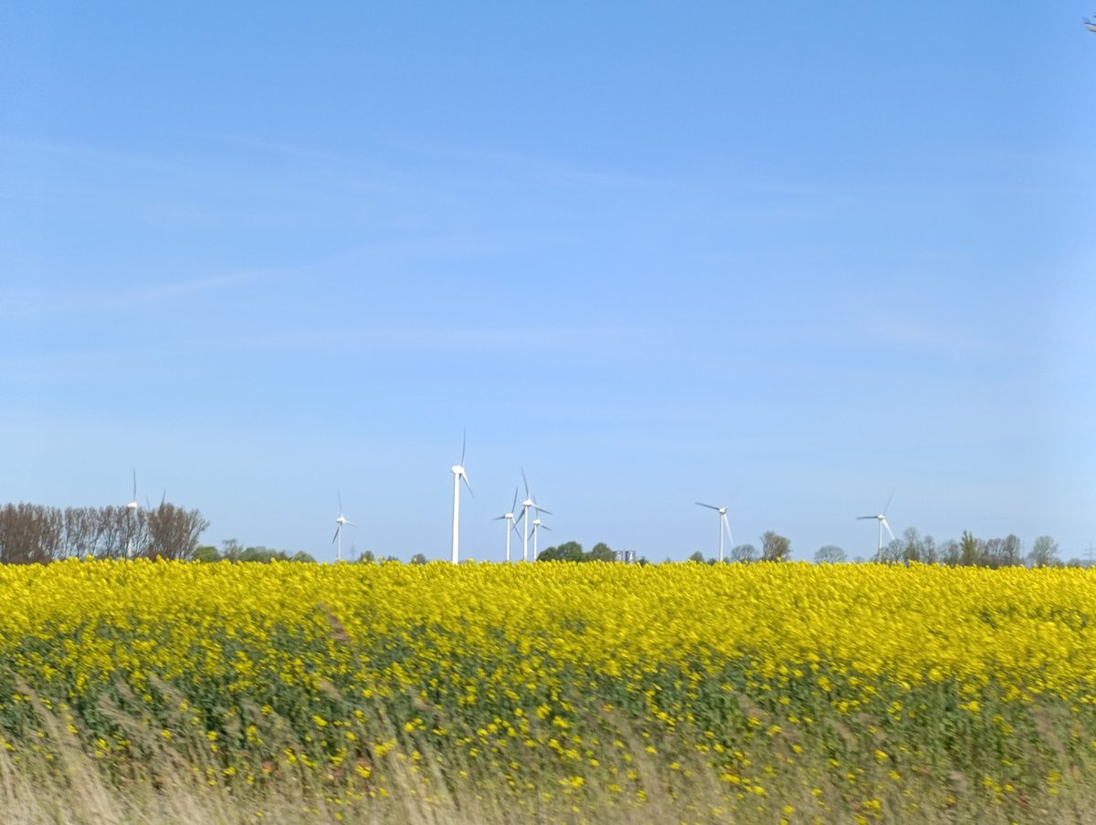 GSchmidchen tweet media