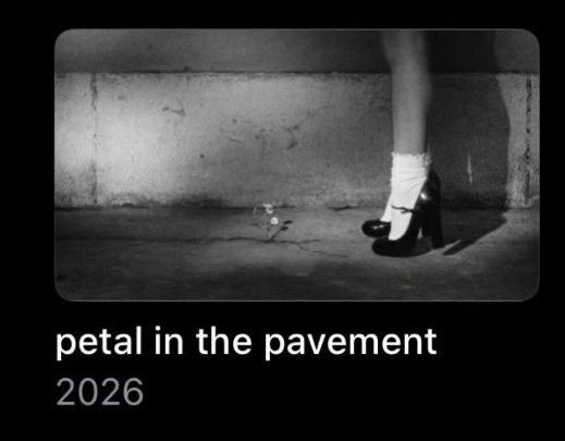 jules 𖤓˚࿔ tweet media