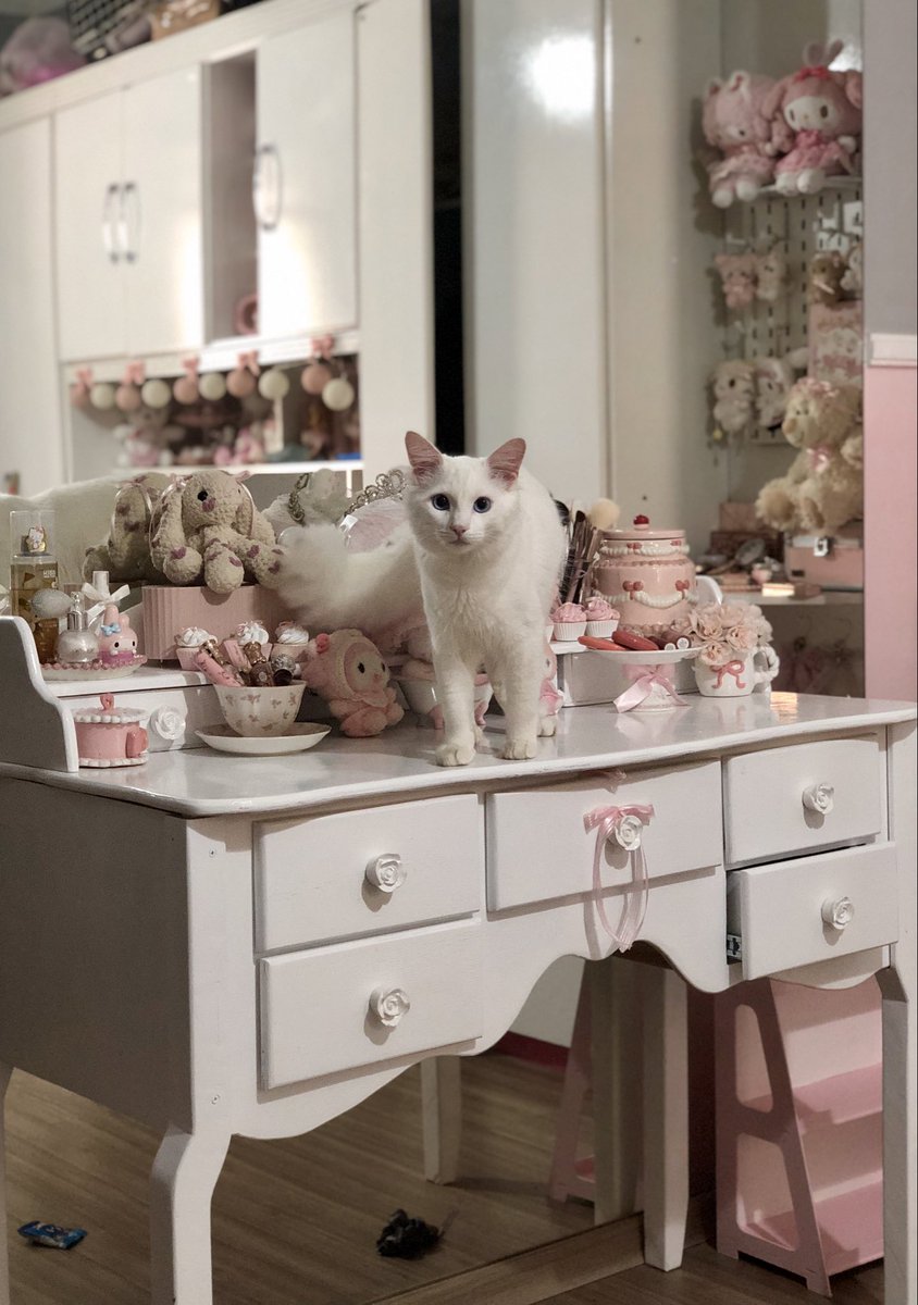 jujuba •୨♡୧• tweet media