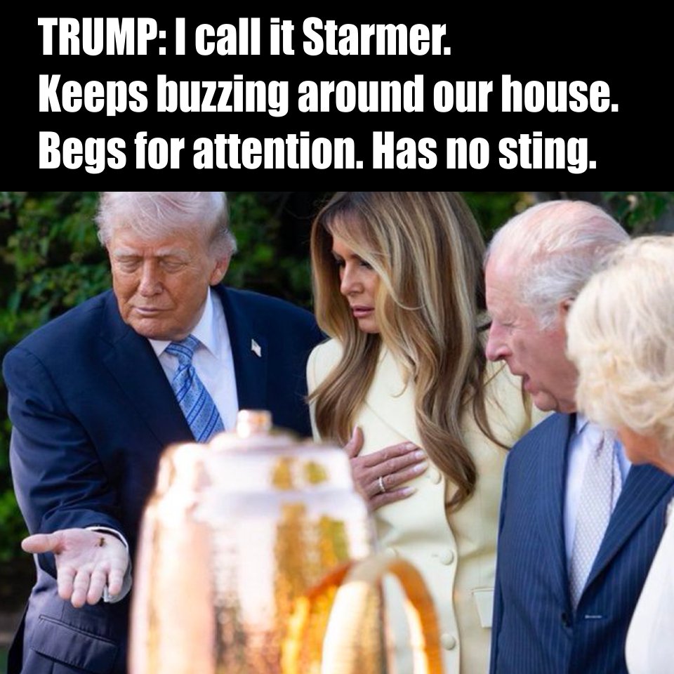 Hold My Beer News tweet media