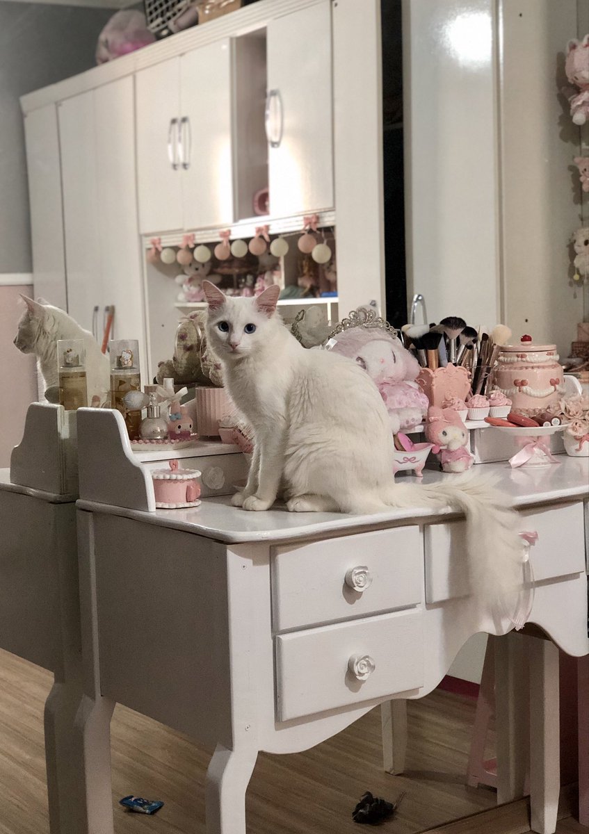 jujuba •୨♡୧• tweet media