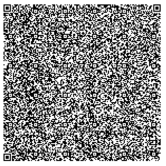 XORD 🔑 🇺🇸 tweet media