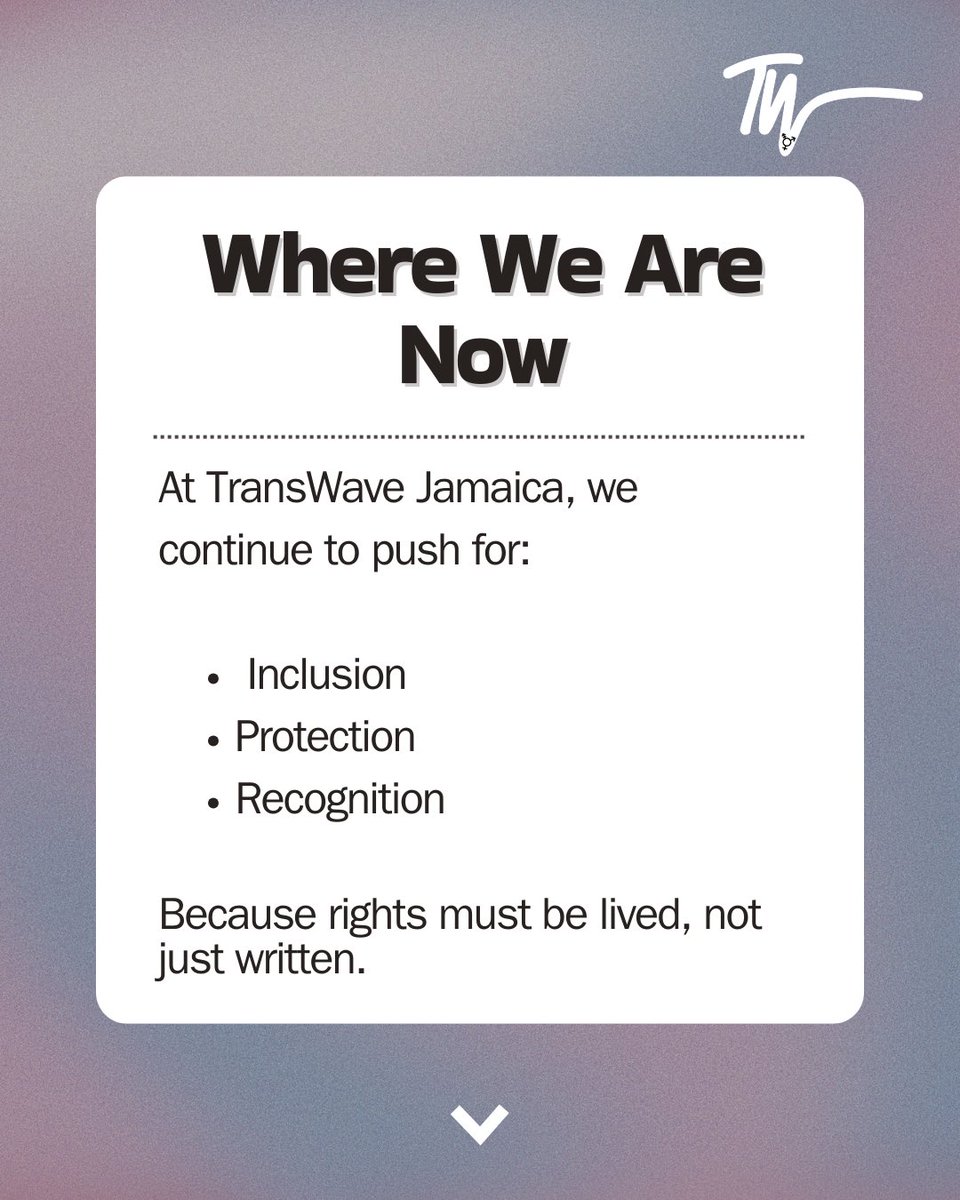 TransWave Jamaica tweet media