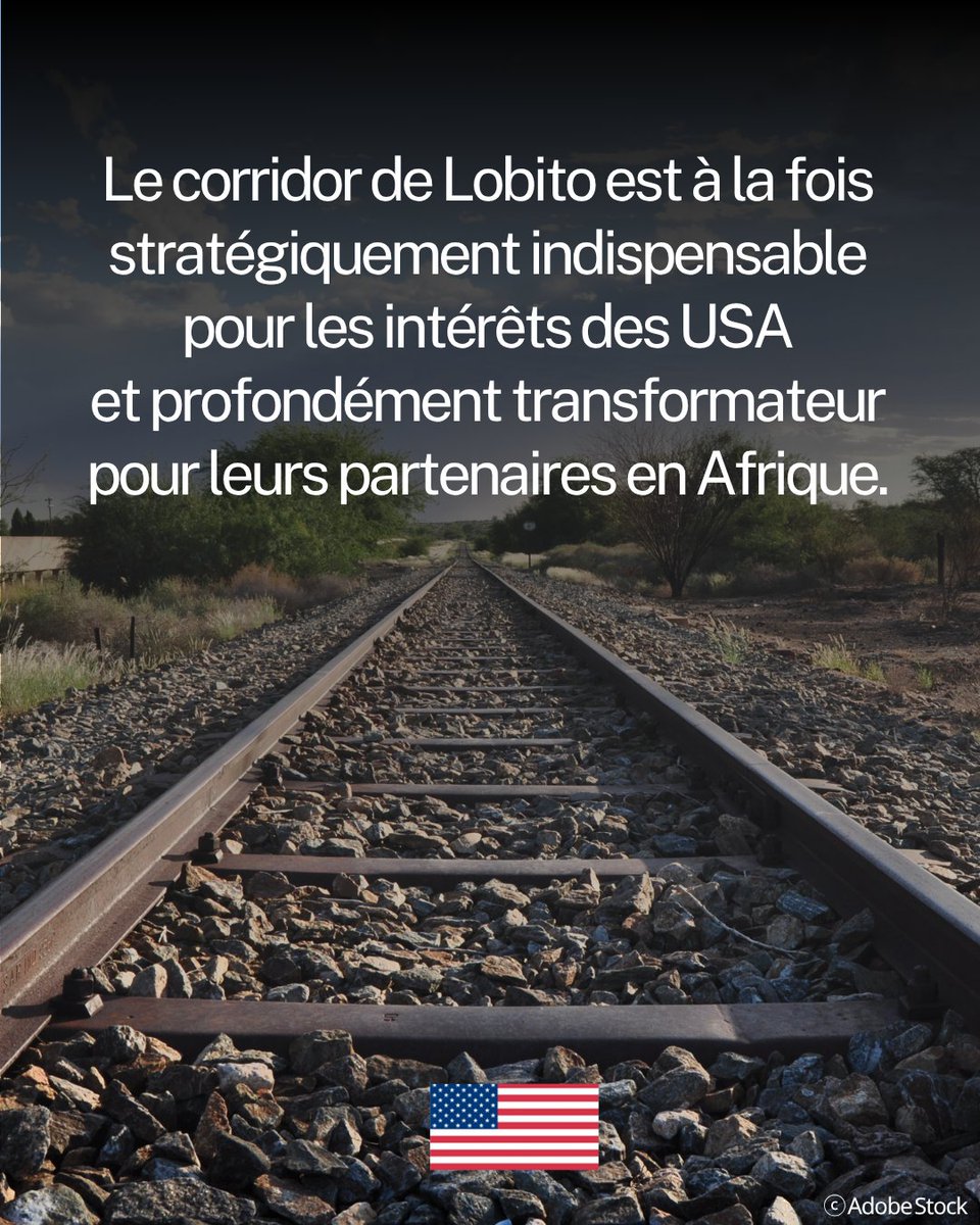 HKokonyangi's tweet image. J'en veux aux capitaliste occidentale,  cynique et condescendants qui pensent que le monde arobo-noire ne se voit qu'à travers les yeux de @BlackRock et #wallstress🌏
🇺🇸🇪🇺🔥🇨🇩
Peuple congolais lève-toi prend ton héritage en charge. 

#Réveil 
#Conscience 
#Liberté 
#CONGOLEADER⚖️
