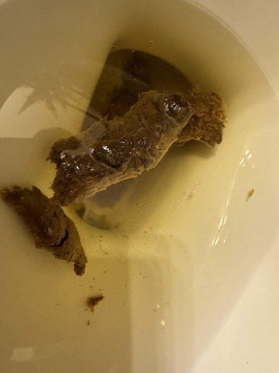 ChakalFeeder's tweet photo. Need a faggot to eat my shit 

#cashpig #paypig #latino #teen #scat #findom #humiliation https://t.co/N5W8V6hA1A