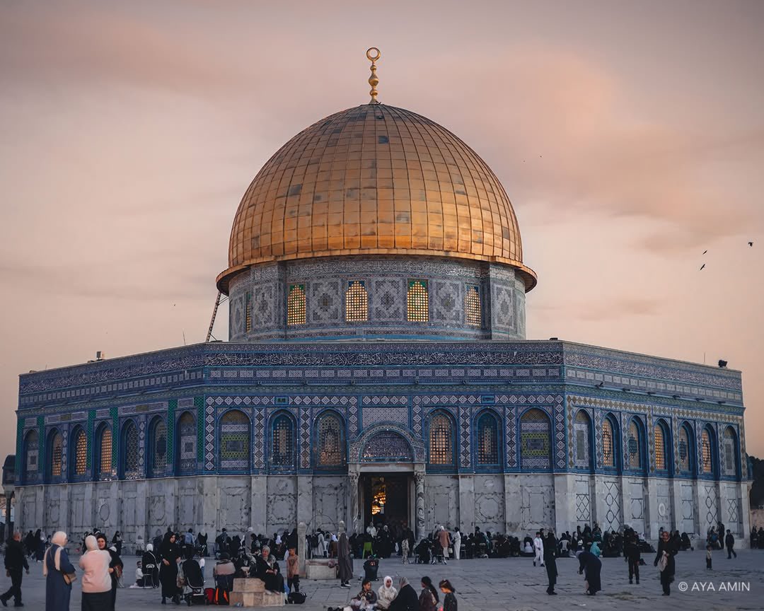 Muhammad Smiry 🇵🇸 tweet media