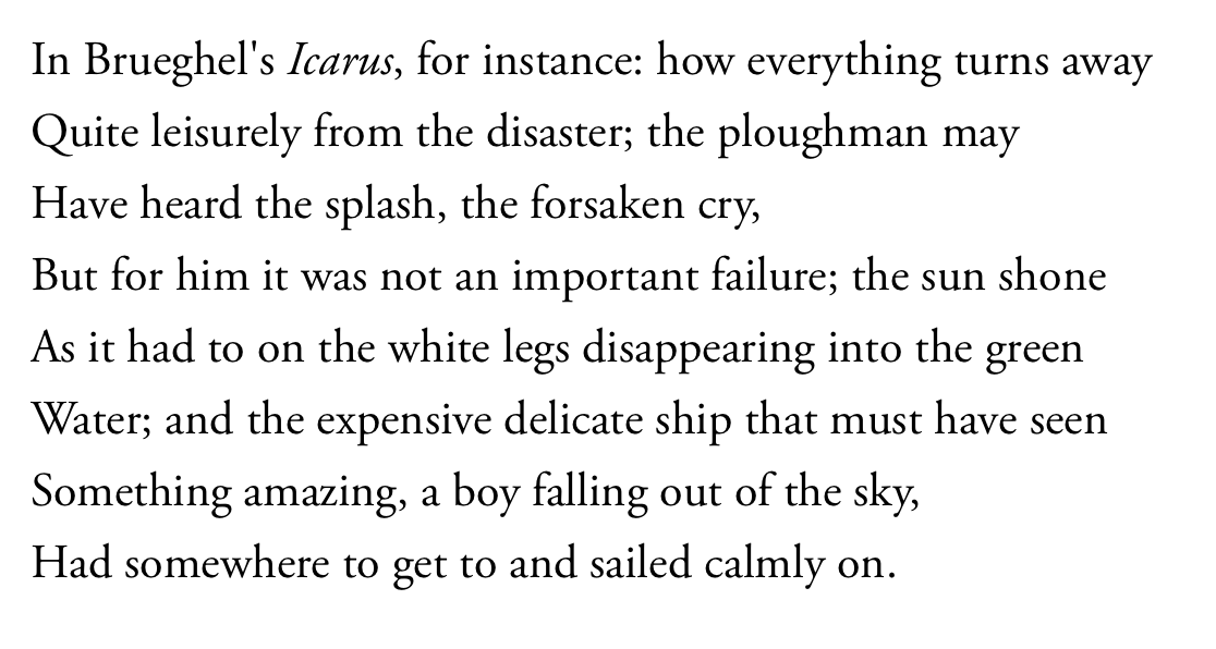 FischerKing tweet media