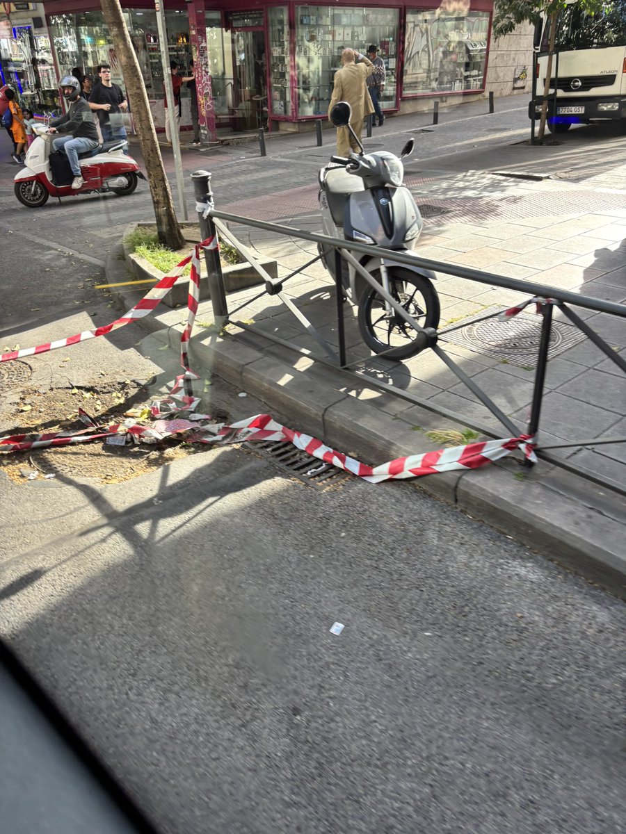 albert alergia era tweet media