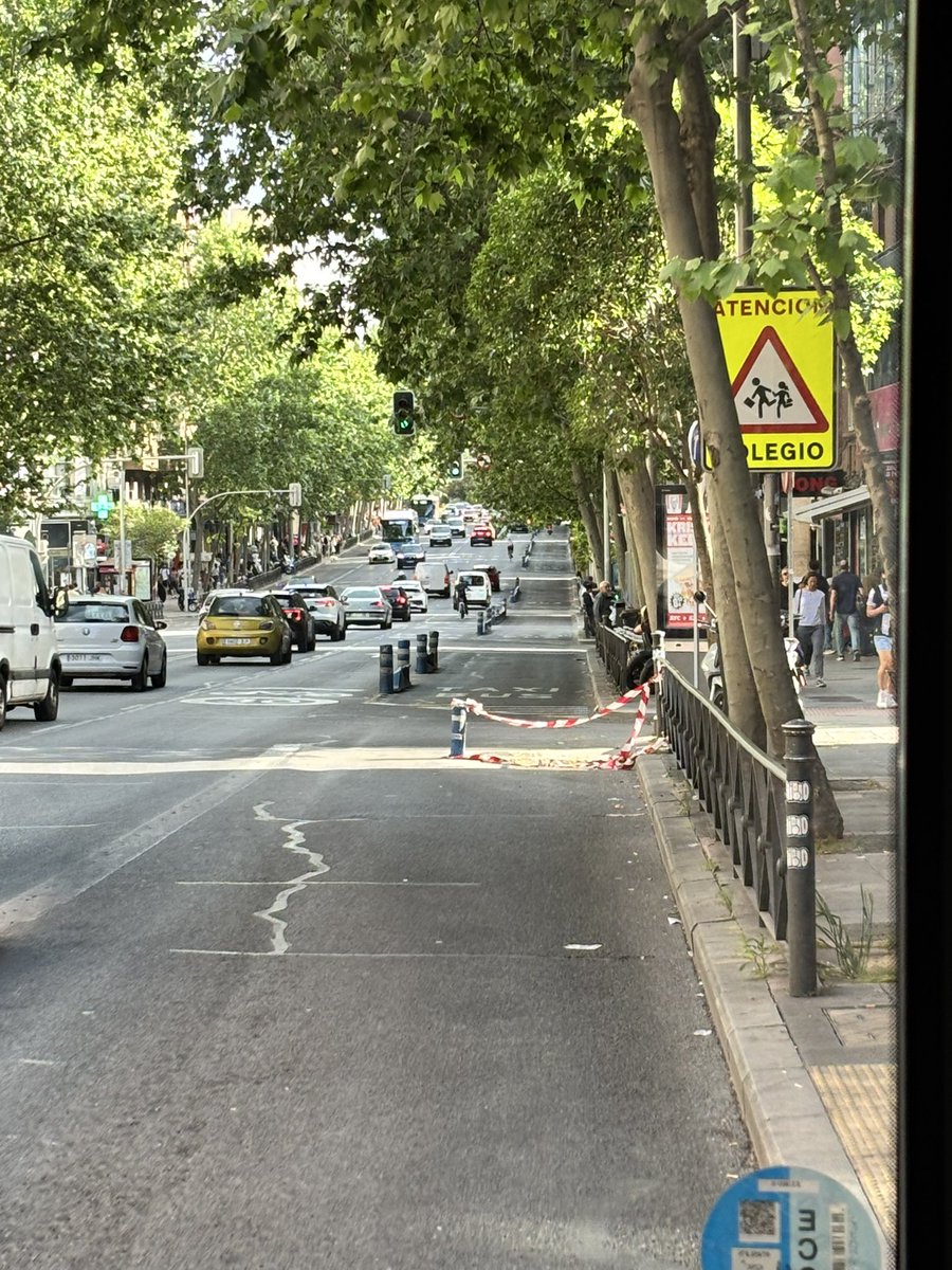 albert alergia era tweet media