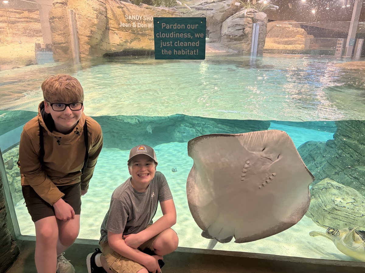 WSMSStallions's tweet photo. Our 7th grade students had a great time on their field trip to the Kansas City Zoo &amp; Aquarium yesterday! The  early morning thunderstorms cleared to reveal a beautiful day filled with exploration, learning, and fun. https://t.co/8epTtKXomP
