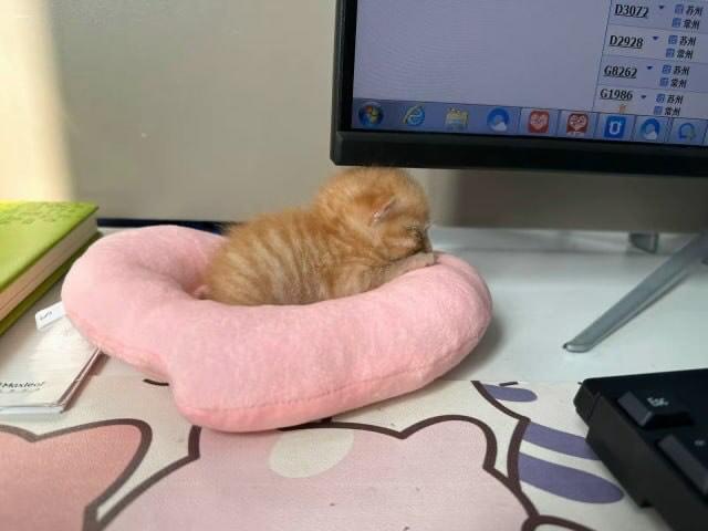 Employer: what do you see your ideal workplace as?
Me: