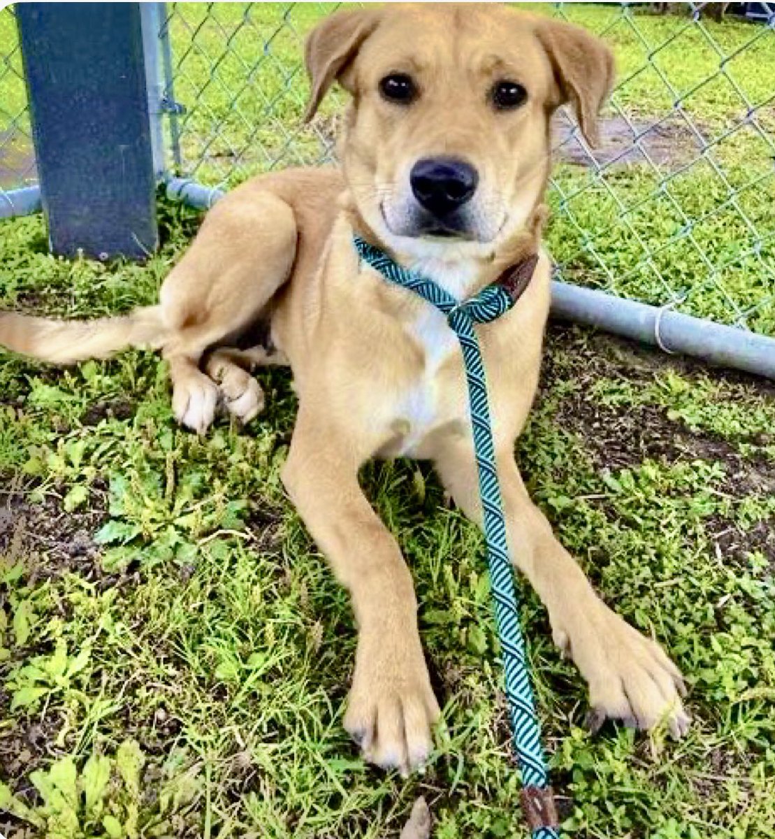 Cheryl Ramirez tweet media