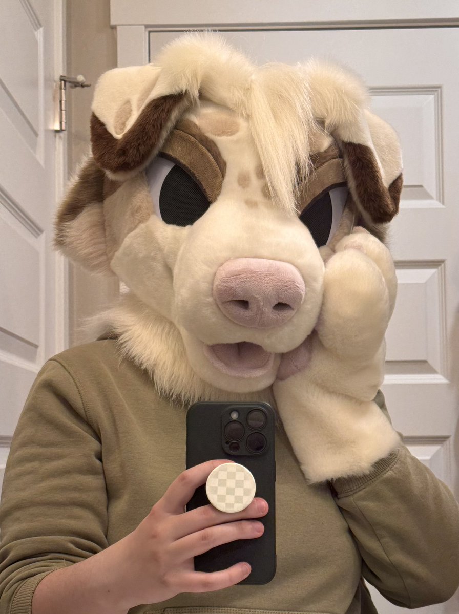 Marlow 🏔️🐾 Critterfolk Plushies 🦊🌱 tweet media