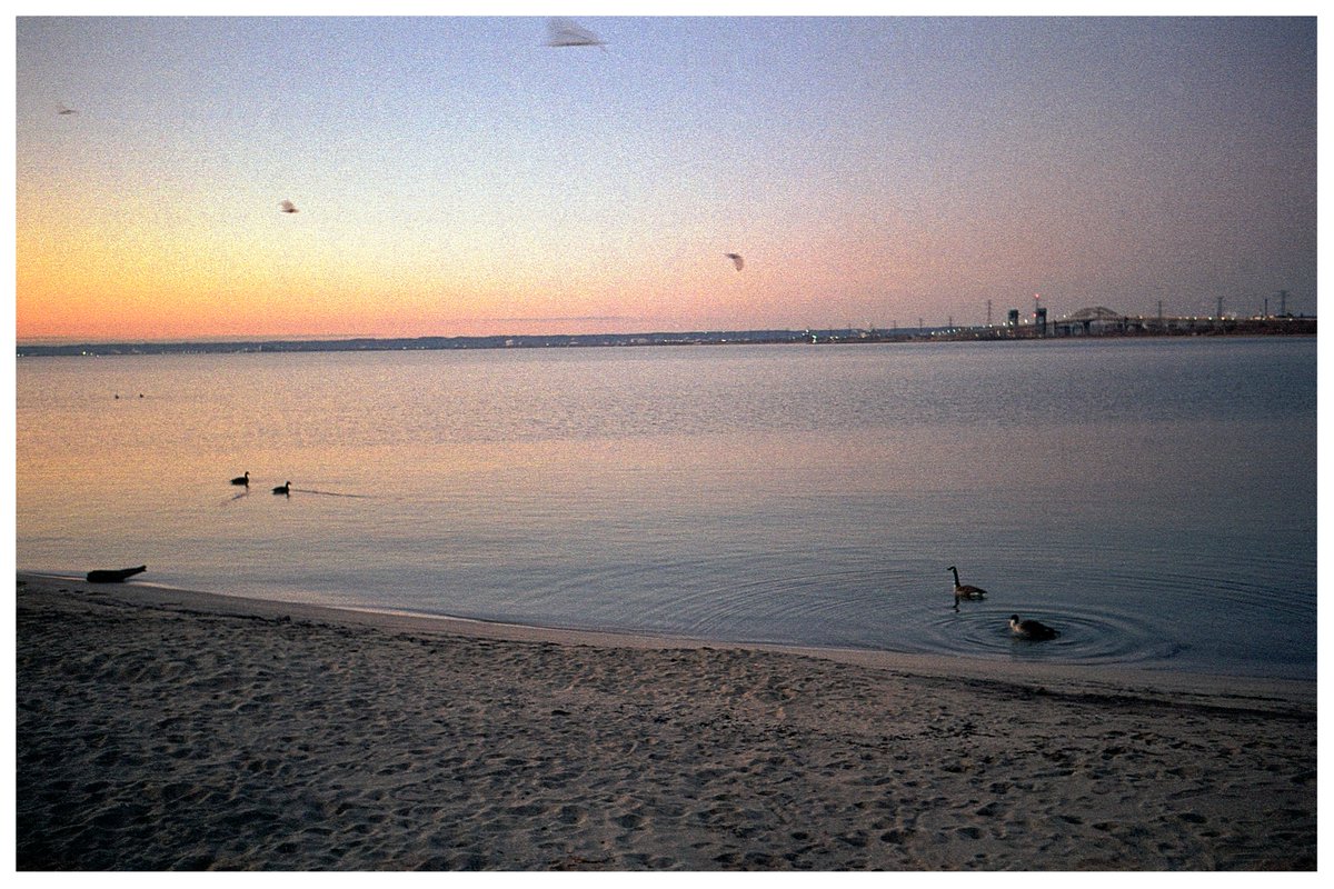 Jeandron's tweet image. Lovely light for a dip in Lake Ontario, Burlington, Ontario.
(Leica M3, Leica SOONC-M f3.5/35mm, Kodak Gold 200)
#sunrise #goldenhour #Burlington #kodak #canada