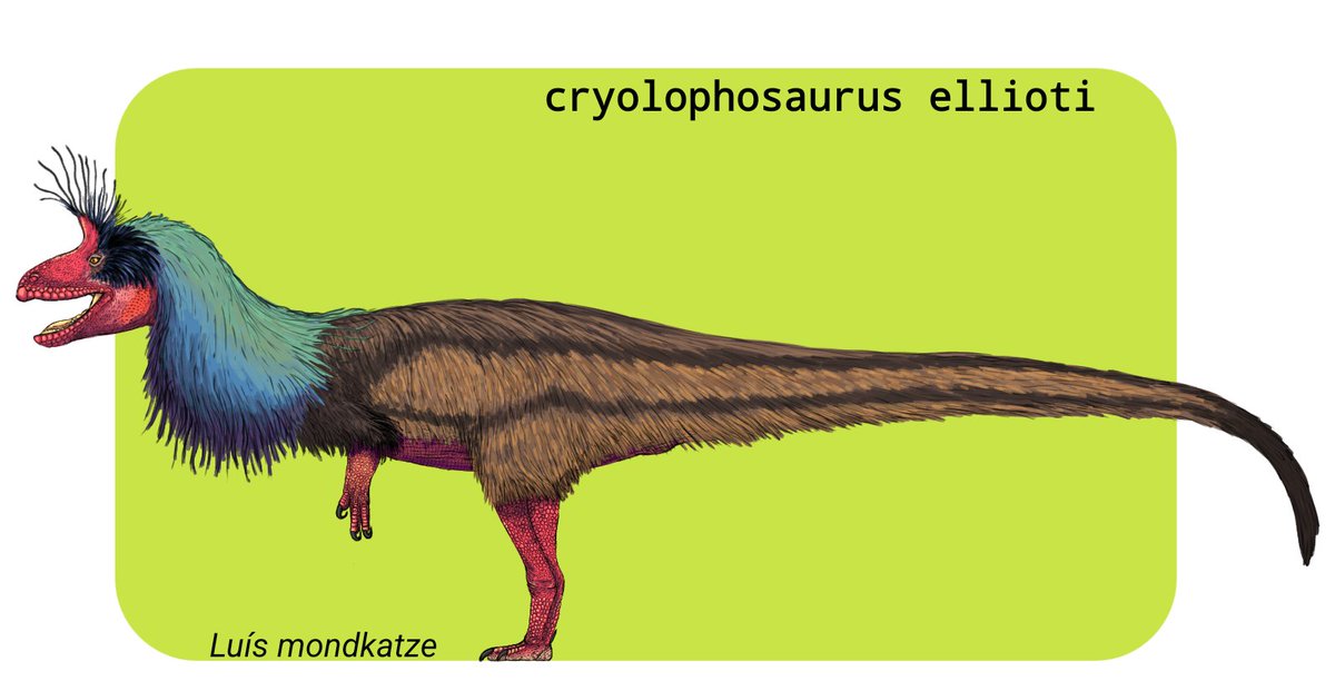 Right at the beginning of the rise of the dinosaurs, Antarctica witnessed one of the most interesting experiments of theropods, the #Cryolophosaurus ellioti, characterized by a peculiar crest formed by its lacrimal and nasal bones.

#paleoart