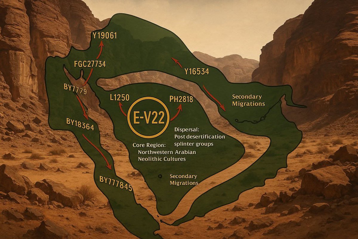 علي الدفاعي آل عروس tweet media